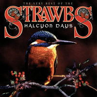 Witchwood - Strawbs