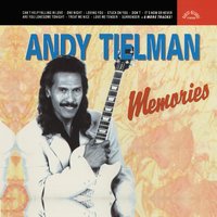 The Wonder of You - Andy Tielman