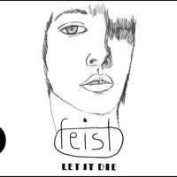 Now At Last - Feist