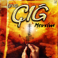 Yarim Senden Ayrılalı - Grup Çığ