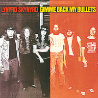 Cry For The Bad Man - Lynyrd Skynyrd