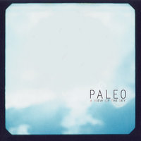 World's Smallest Violin - Paleo