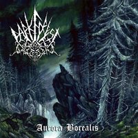 Under the Northern Fullmoon - Dark Forest