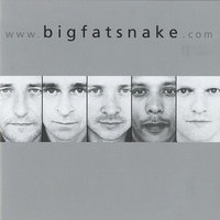 Ain't No Use - Big Fat Snake