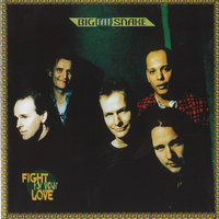 Night Time - Big Fat Snake