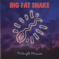 Run Run Run - Big Fat Snake