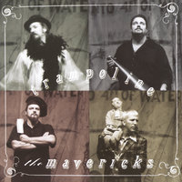 Fool #1 - The Mavericks