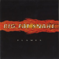 Match Made In Heaven - Big Fat Snake
