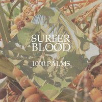 Island - Surfer Blood