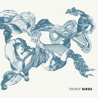 Flowers Blossom - THONY