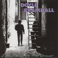 I Can See Clearly Now - Doyle Bramhall