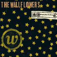 I Wish I Felt Nothing - The Wallflowers