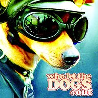 Who Let The Dogs Out - The Doggies
