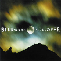 Never Met a Man I Didn't Like - Silkworm