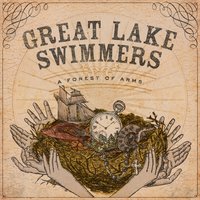 A Bird Flew Inside the House - Great Lake Swimmers
