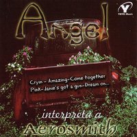 Pink - Angel