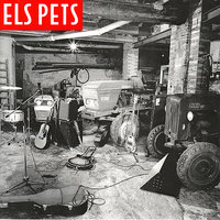 No N'hi Ha Prou Amb Ser Catala - Els Pets