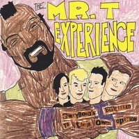 I'm in Love With Paula Pierce - The Mr. T Experience