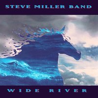 Lost In Your Eyes - Steve Miller Band