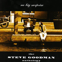 Where's the Party? - Steve Goodman