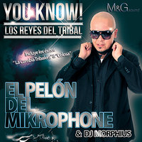 La Astuta (feat. DJ Cobra, Kike Play & Nikki X) - El Pelón Del Mikrophone, DJ Cobra, Nikki X