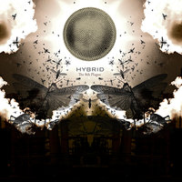 Ashes Of Babylon - Hybrid