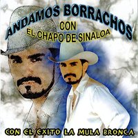 Te Solte La Rienda - El Chapo De Sinaloa