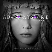 Never Giving Up On You - Matthew Parker