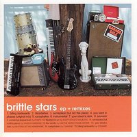 Falling Backwards - Brittle Stars
