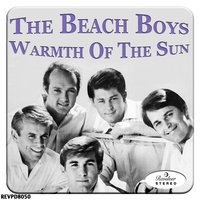 The Warmth of the Mine - The Beach Boys