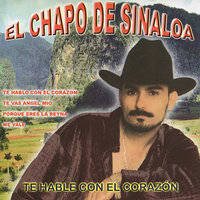 Te Vas Angel Mio - El Chapo De Sinaloa