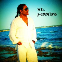 I Wanna Fly - Mr Jamming