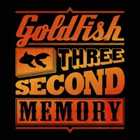 Three Second Memory - GoldFish