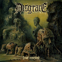 Slave to the Lead God - Disgrace