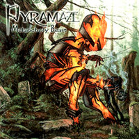 The Wizard - Pyramaze