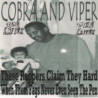 I Gotta Hustle - cobra the rapper, Viper The Rapper