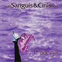 Im Angesicht der Sonne und im Auge des Lichts - Sanguis et Cinis