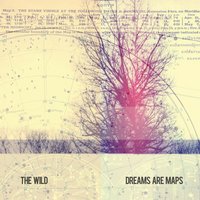 New Houses - The Wild