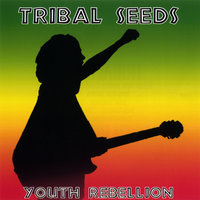 Rider - Tribal Seeds