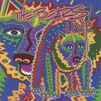 Caveman - The Bears