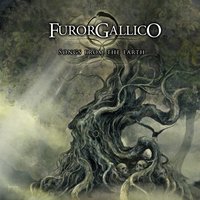 Wild Jig of Beltaine - Furor Gallico