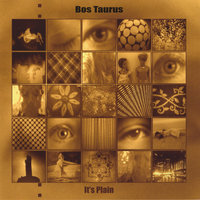 Anyway, Anyhow - Bos Taurus