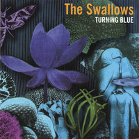 Turning Blue - The Swallows