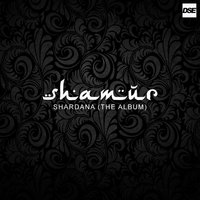 Let The Music Play - Shamur