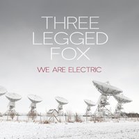 Shadows - Three Legged Fox