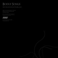 I Can't See a Thing in Here - Boduf Songs