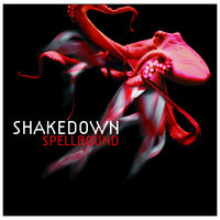 Extraordinary - Shakedown