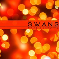 Seven Seas - The Swans