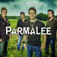 Back in the Day - Parmalee