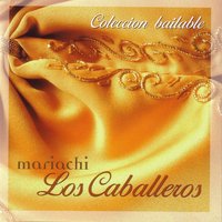 Usted - Los Caballeros